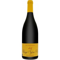 Abbaye Sylva Plana Faugeres Les Novices - Vin Bio | French Wine